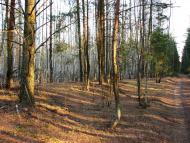 Малійки з panoramio.com