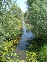 Переяслівка з panoramio.com