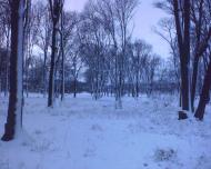 Жовтень з panoramio.com