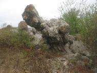 Тихе з panoramio.com