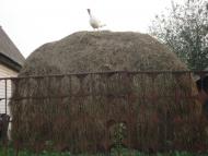 Бирине з panoramio.com