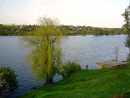 Созонівка з panoramio.com