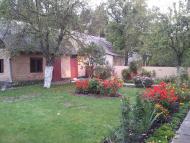 Гірник з panoramio.com