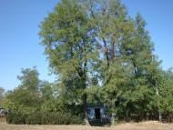Климентове з panoramio.com