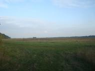 Колом'є з panoramio.com