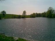 Кошляки з panoramio.com