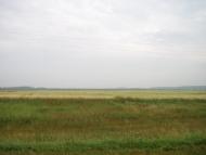 Шевченкове з panoramio.com