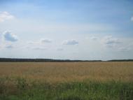 Дружба з panoramio.com