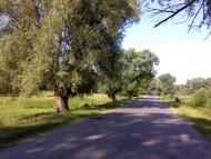 Понорниця з panoramio.com