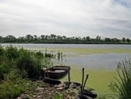 Дніпровка з panoramio.com