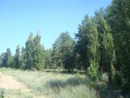 Піщанівка з panoramio.com