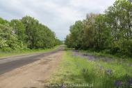 Шопки з panoramio.com - Шопки