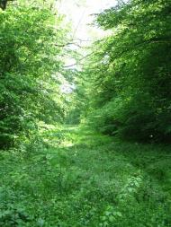 Глибочок з panoramio.com