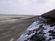 Свистунове з panoramio.com