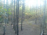 Замисловичі з panoramio.com