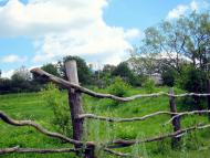 Стінка з panoramio.com