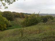 Ротмістрівка з panoramio.com