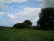 Базалія з panoramio.com