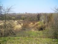 Луциківка з panoramio.com