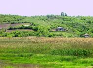 Дубове з panoramio.com