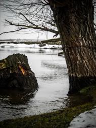 Малеве з panoramio.com