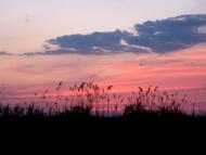 Градениці з panoramio.com