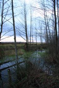 Кам'янка з panoramio.com