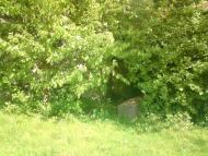 Привільне з panoramio.com