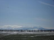 Строгонівка з panoramio.com