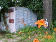 Медведівка з panoramio.com