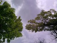 Костянтинівка з panoramio.com