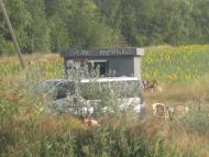 Райське з panoramio.com