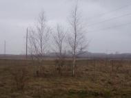 Панчищини з panoramio.com