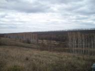 Бутенкове з panoramio.com