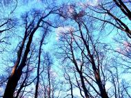 Демня з panoramio.com