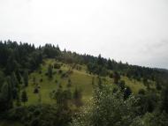 Лопушне з panoramio.com