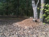 Волиця з panoramio.com