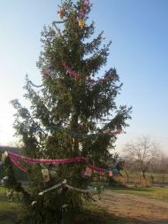 Лецовиця - Останні фото