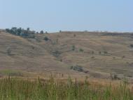 Карпове з panoramio.com