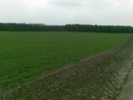 Радсело з panoramio.com