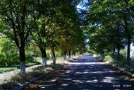 Бахмутське з panoramio.com
