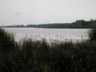 Дніпровка з panoramio.com