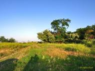 Садове з panoramio.com