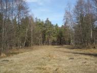 Великі Телковичі з panoramio.com