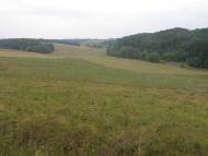 Моринці з panoramio.com