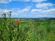 Стінка з panoramio.com