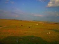 Сирень з panoramio.com