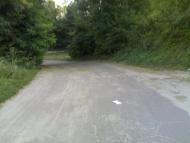 Студинка з panoramio.com