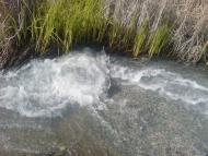 Софіївський з panoramio.com