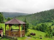 Орявчик з panoramio.com